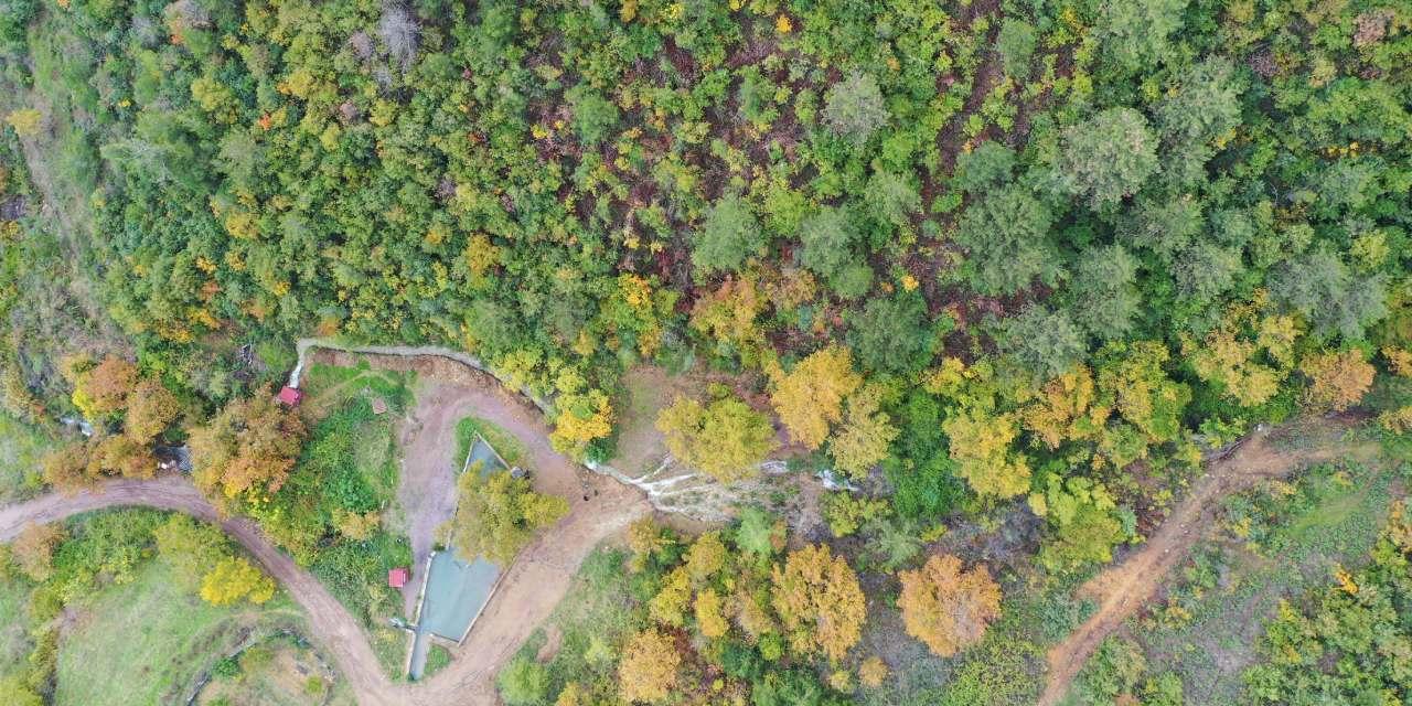 20 yıl önce kaybolmuştu! 6.1’lik depremin ardından yeniden ortaya çıktı