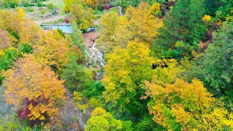 20 yıl sonra yeniden ortaya çıktı! Vatandaş şaşkın: Cenabıallah'ın işi, depremle geldi 1 20 yıl sonra yeniden ortaya çıktı! Vatandaş şaşkın: Cenabıallah'ın işi, depremle geldi
