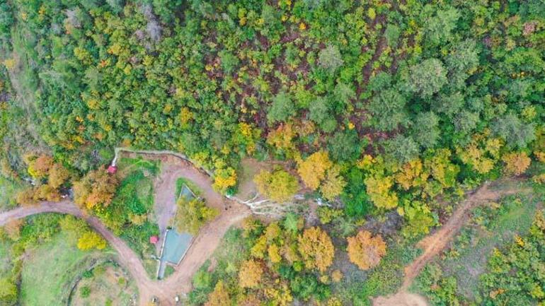 20 yıl sonra yeniden ortaya çıktı! Vatandaş şaşkın: Cenabıallah'ın işi, depremle geldi 3 20 yıl sonra yeniden ortaya çıktı! Vatandaş şaşkın: Cenabıallah'ın işi, depremle geldi