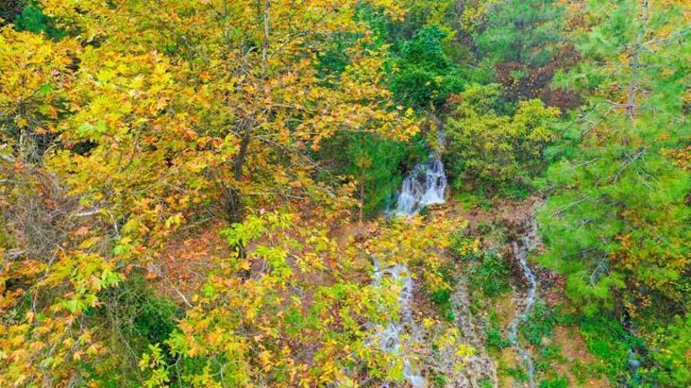 20 yıl sonra yeniden ortaya çıktı! Vatandaş şaşkın: Cenabıallah'ın işi, depremle geldi 4 20 yıl sonra yeniden ortaya çıktı! Vatandaş şaşkın: Cenabıallah'ın işi, depremle geldi
