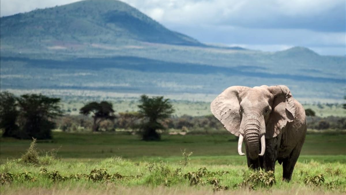 2050’ye kadar yok olma tehlikesi taşıyan UNESCO Dünya Mirası yerleri