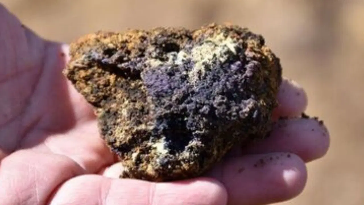 21. yüzyılın petrolü: Nadir toprak elementleri nedir?