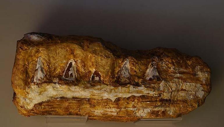 Asya’da tek, Türkiye’de ilk: 65 milyon yıl önceki dev canlı keşfedildi! Dünyada yalnızca 7 yerde var 2 Asya’da tek, Türkiye’de ilk: 65 milyon yıl önceki dev canlı keşfedildi! Dünyada yalnızca 7 yerde var