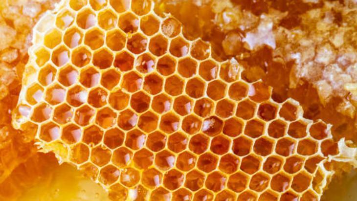 Balı sebze kurutucusunda çevirin! Tülbent sarınca toz bile kalmıyor: 1 kaşık 64 kalori 3 Balı sebze kurutucusunda çevirin! Tülbent sarınca toz bile kalmıyor: 1 kaşık 64 kalori