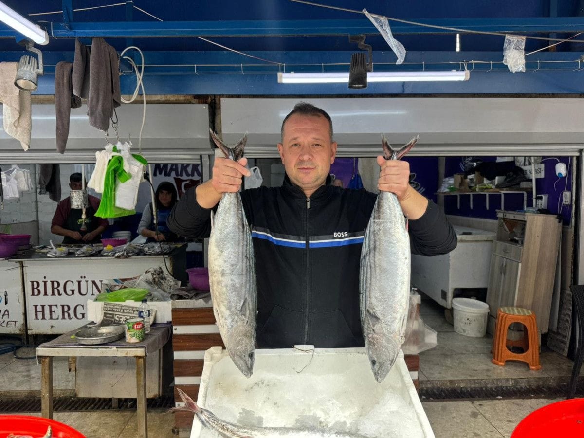 Bandırma Balık Hali'nde sezon hareketli geçiyor 2 Bandırma Balık Hali'nde sezon hareketli geçiyor