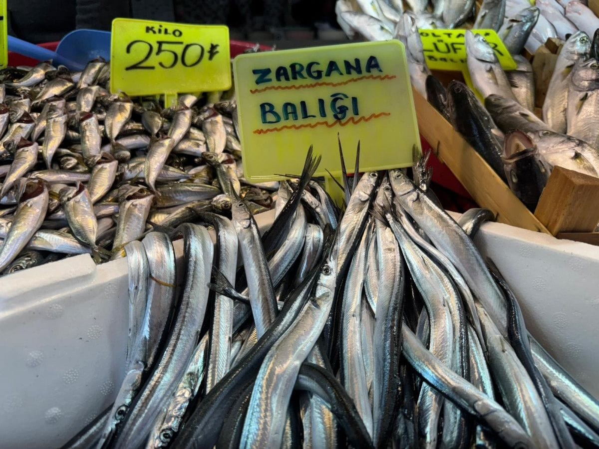 Bandırma Balık Hali'nde sezon hareketli geçiyor 3 Bandırma Balık Hali'nde sezon hareketli geçiyor