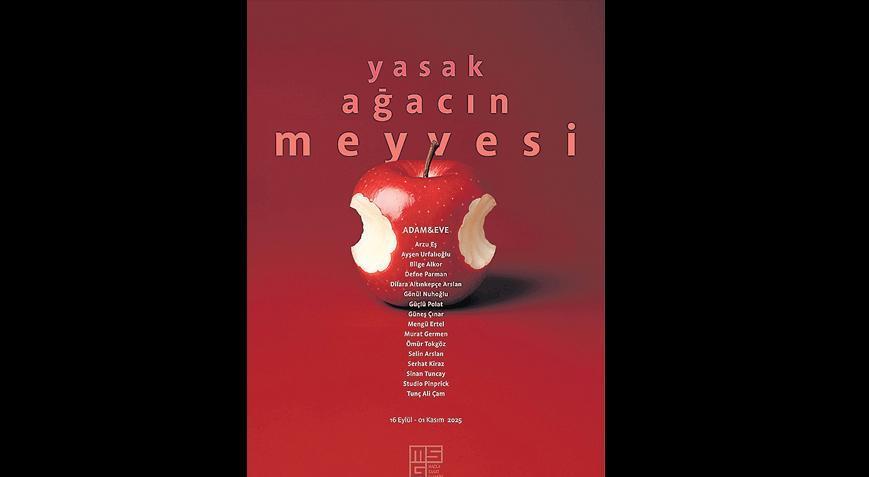 Bilgiye ve özgürlüğe uzanan serüven