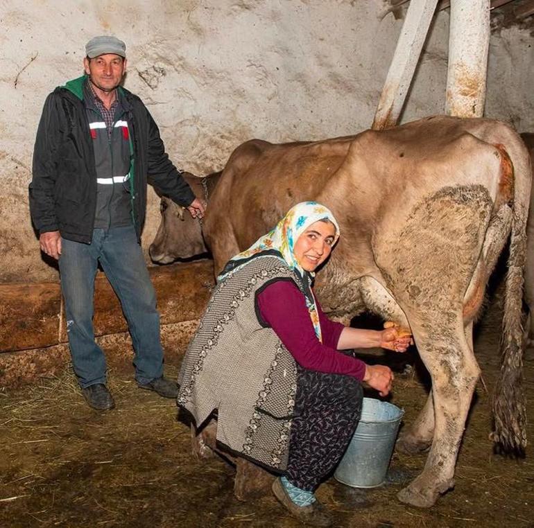Boğatepe'nin kaderini değiştiren trafik kazası! '40 yaşında Fransızca öğrendim' 1 Boğatepe'nin kaderini değiştiren trafik kazası! '40 yaşında Fransızca öğrendim'