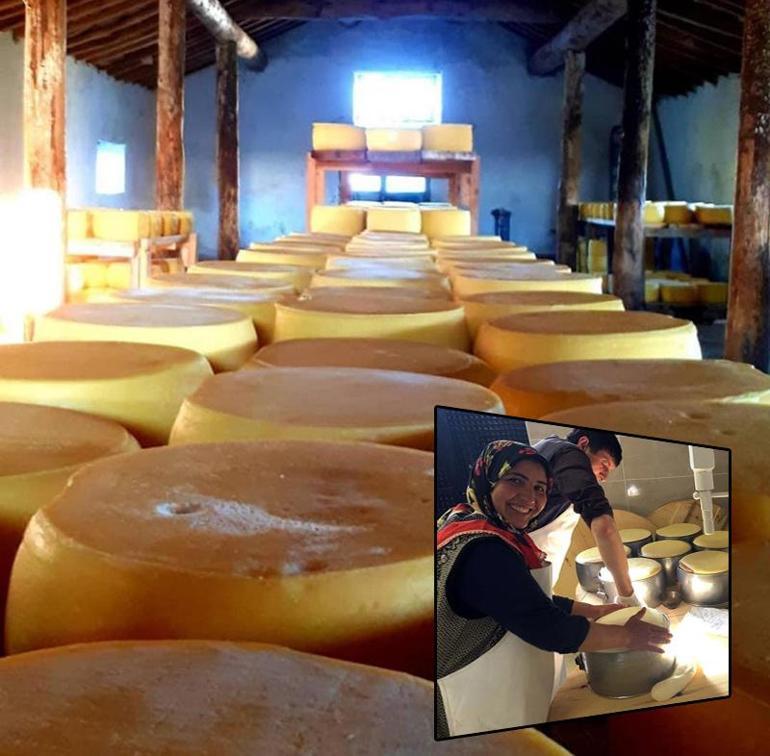 Boğatepe'nin kaderini değiştiren trafik kazası! '40 yaşında Fransızca öğrendim' 2 Boğatepe'nin kaderini değiştiren trafik kazası! '40 yaşında Fransızca öğrendim'