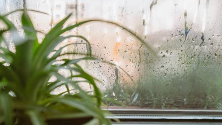 Buğulanma sorununa kesin çözüm! Hemen banyoya koşun: Bekletip silin 10 Buğulanma sorununa kesin çözüm! Hemen banyoya koşun: Bekletip silin