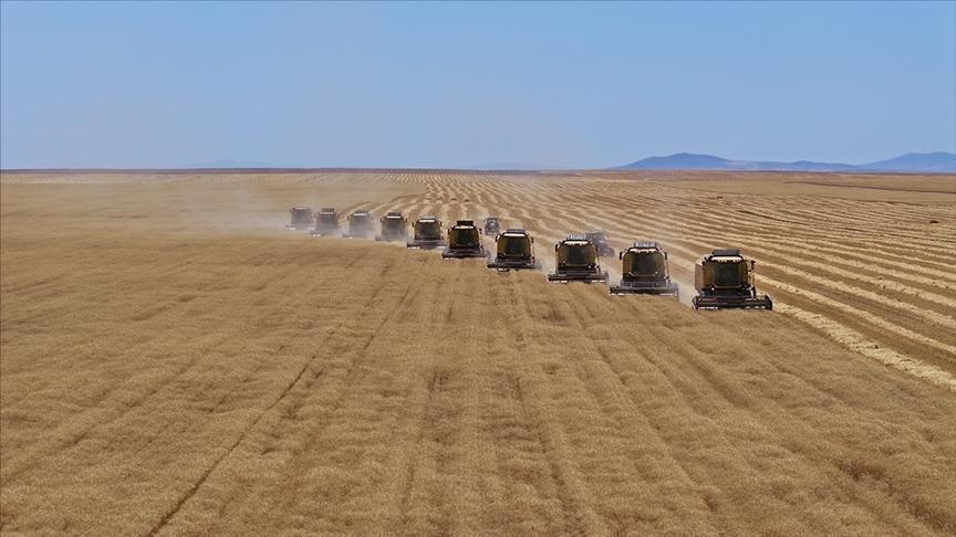 Bütçeden tarımsal desteklere 168 milyar lira ayrıldı