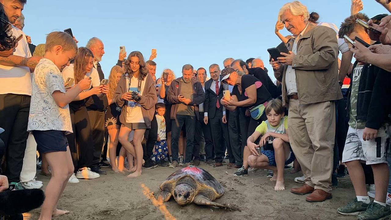 Caretta caretta ‘Cumhuriyet’i 5 bin kişi izledi