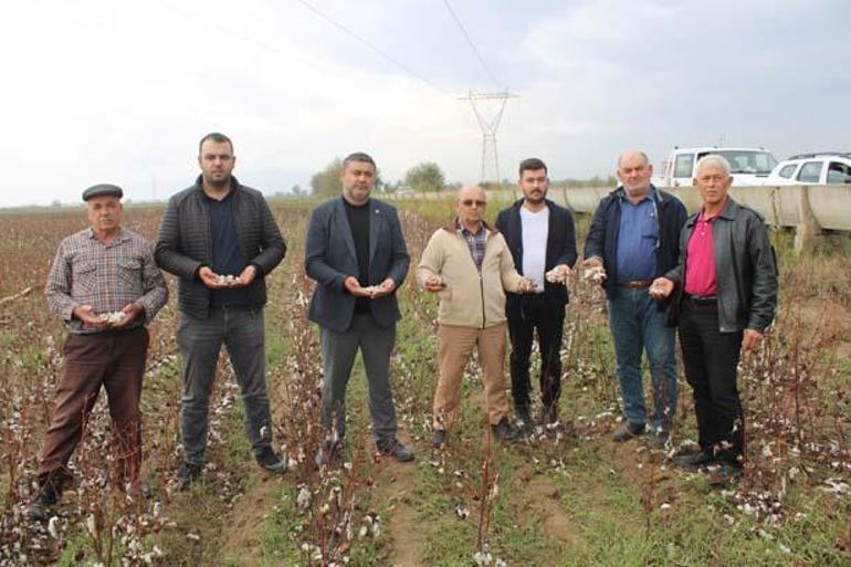 Ceviz büyüklüğünde dolu felakete neden oldu! 1 Ceviz büyüklüğünde dolu felakete neden oldu!