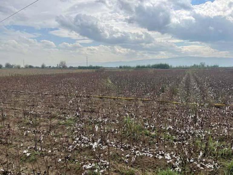Ceviz büyüklüğünde dolu felakete neden oldu! 3 Ceviz büyüklüğünde dolu felakete neden oldu!
