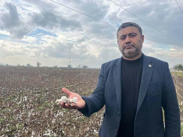 Ceviz büyüklüğünde dolu felakete neden oldu! 5 Ceviz büyüklüğünde dolu felakete neden oldu!