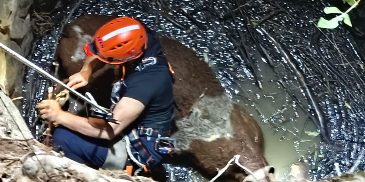Dedebakır Köyünde 8 Metre Derinliğindeki Kuyuda Yaşanan Sürükleyici Kurtarma Hikayesi