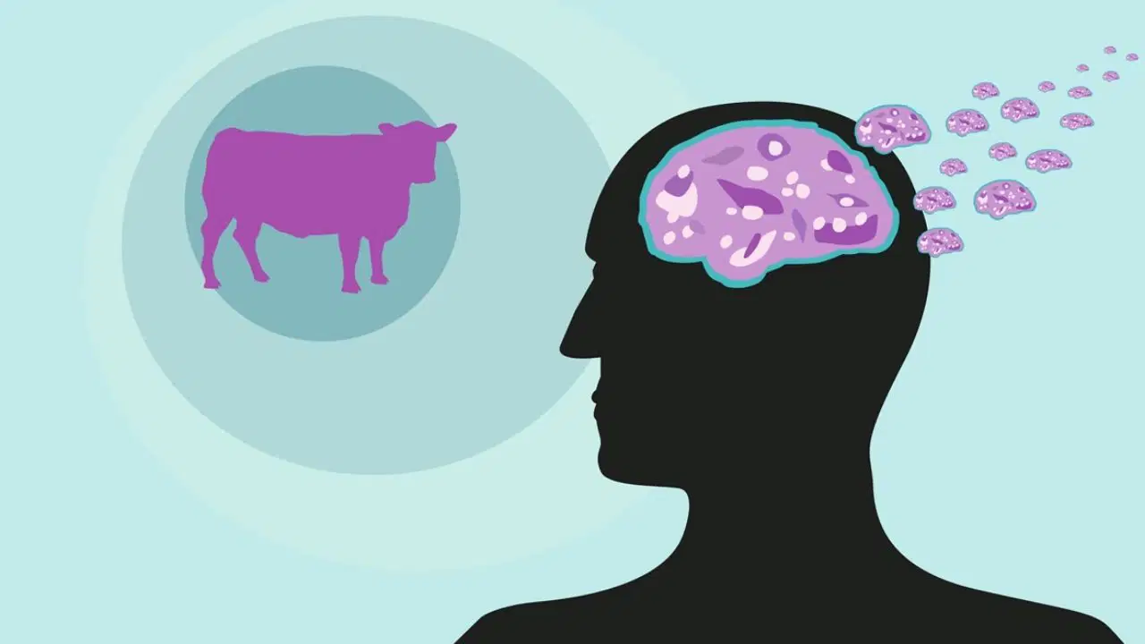 Deli Dana Hastalığı: Belirtileri, Nedenleri ve Bulaşıcılığı Hakkında Her Şey