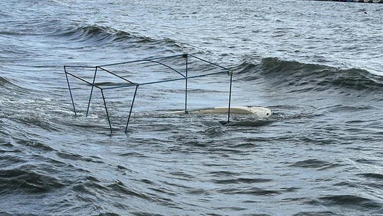 Edremit Körfezi’nde lodos kabusu! Tekneler batıp sahile sürüklendi: Gece boyunca sürecek 2 Edremit Körfezi’nde lodos kabusu! Tekneler batıp sahile sürüklendi: Gece boyunca sürecek