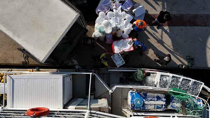 Egeli balıkçılardan ‘tayfa’ isyanı: Dört asgari ücret veriyoruz çalışmıyorlar