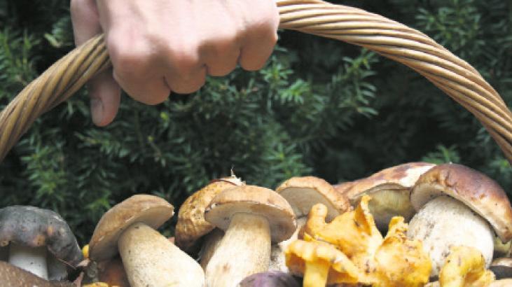 Ekim bitmeden 4 bin başvuru