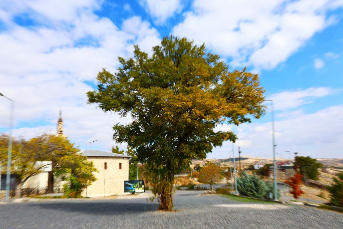 Elazığ'ın 4 Bin Yıllık Mahallesi Sonbaharda Eşsiz Manzarasıyla Büyülüyor