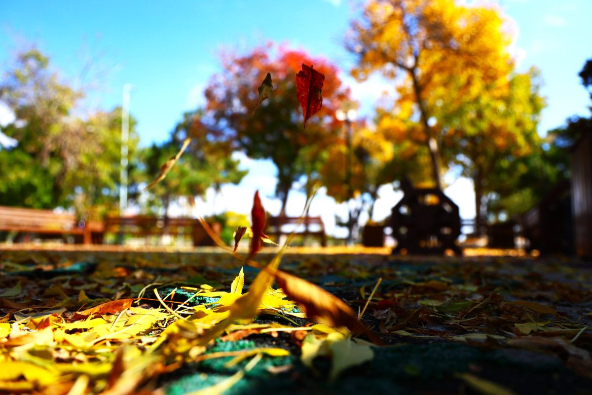Elazığ'ın 4 Bin Yıllık Mahallesi Sonbaharda Eşsiz Manzarasıyla Büyülüyor