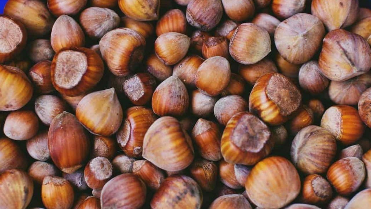 Giresun fındığı zirveye çıktı: Kilosu 350 TL’yi aştı