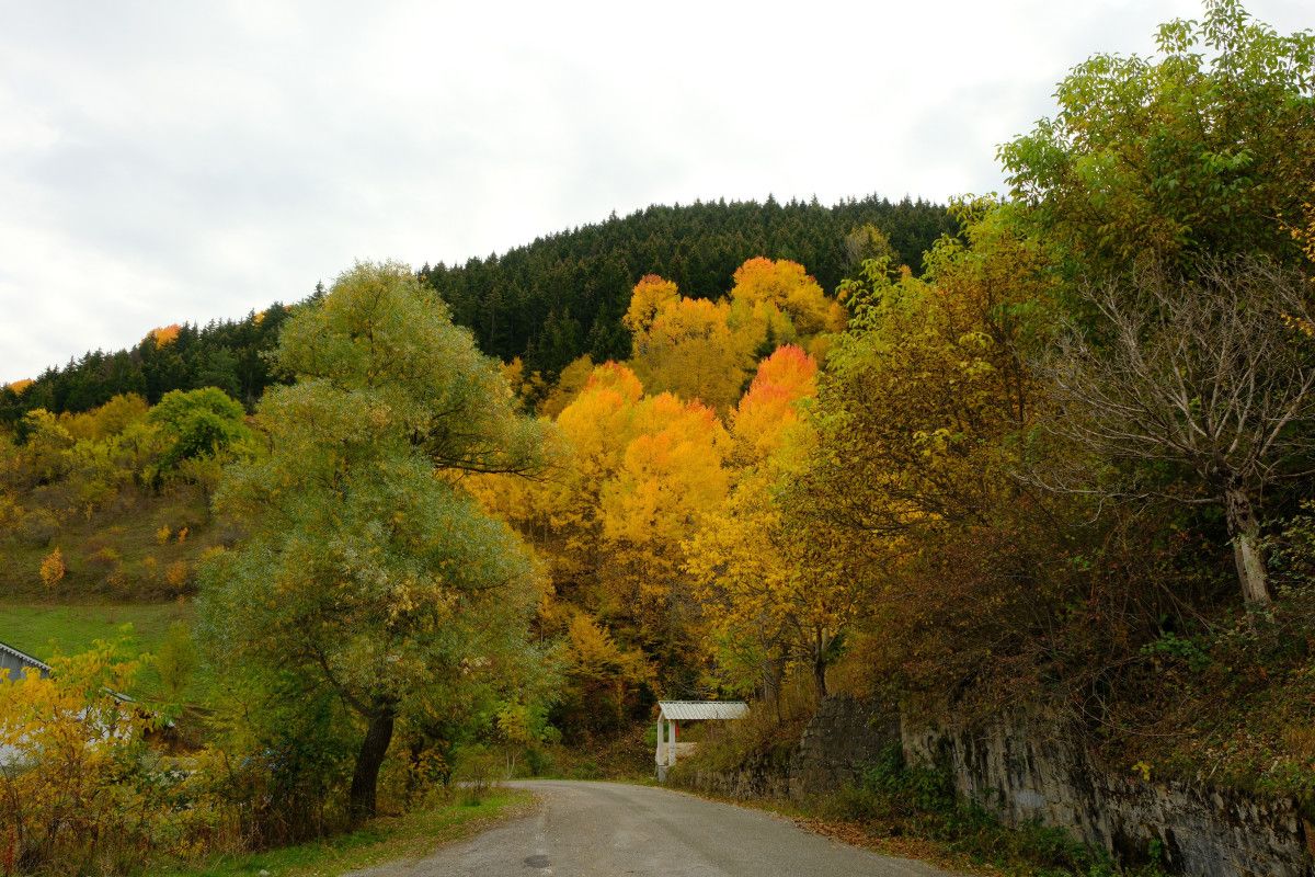 Gümüşhane Zigana Köyü: Keşfedilmeyi Bekleyen Yeni Bir Cennet