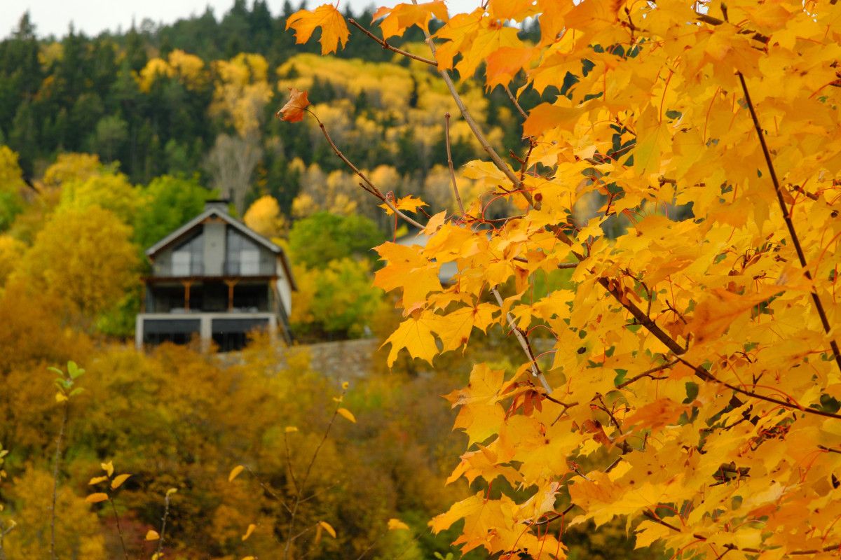 Gümüşhane Zigana Köyü: Keşfedilmeyi Bekleyen Yeni Bir Cennet