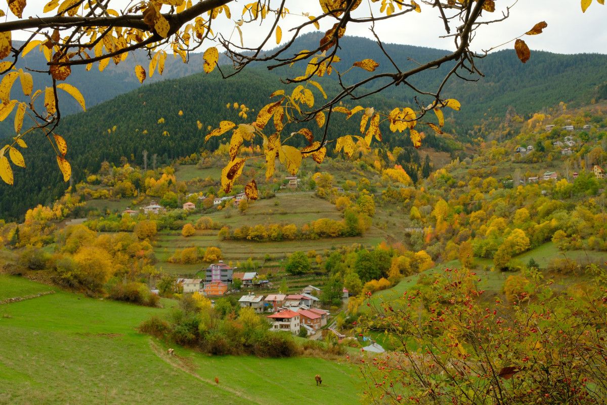 Gümüşhane Zigana Köyü: Keşfedilmeyi Bekleyen Yeni Bir Cennet