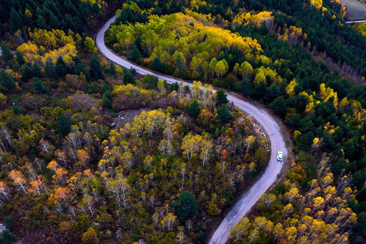 Gümüşhane'de Alpleri aratmayan renk cümbüşü