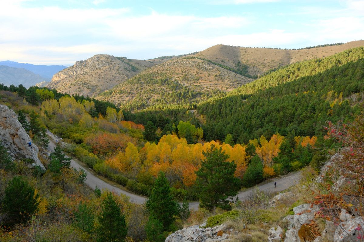 Gümüşhane'de Alpleri aratmayan renk cümbüşü