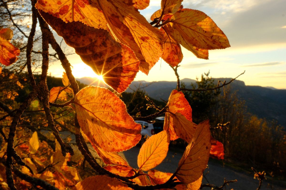 Gümüşhane'de Alpleri aratmayan renk cümbüşü