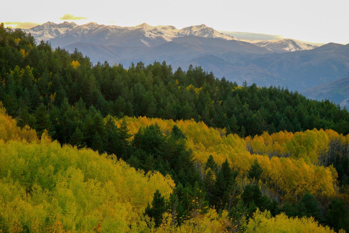 Gümüşhane'de Alpleri aratmayan renk cümbüşü