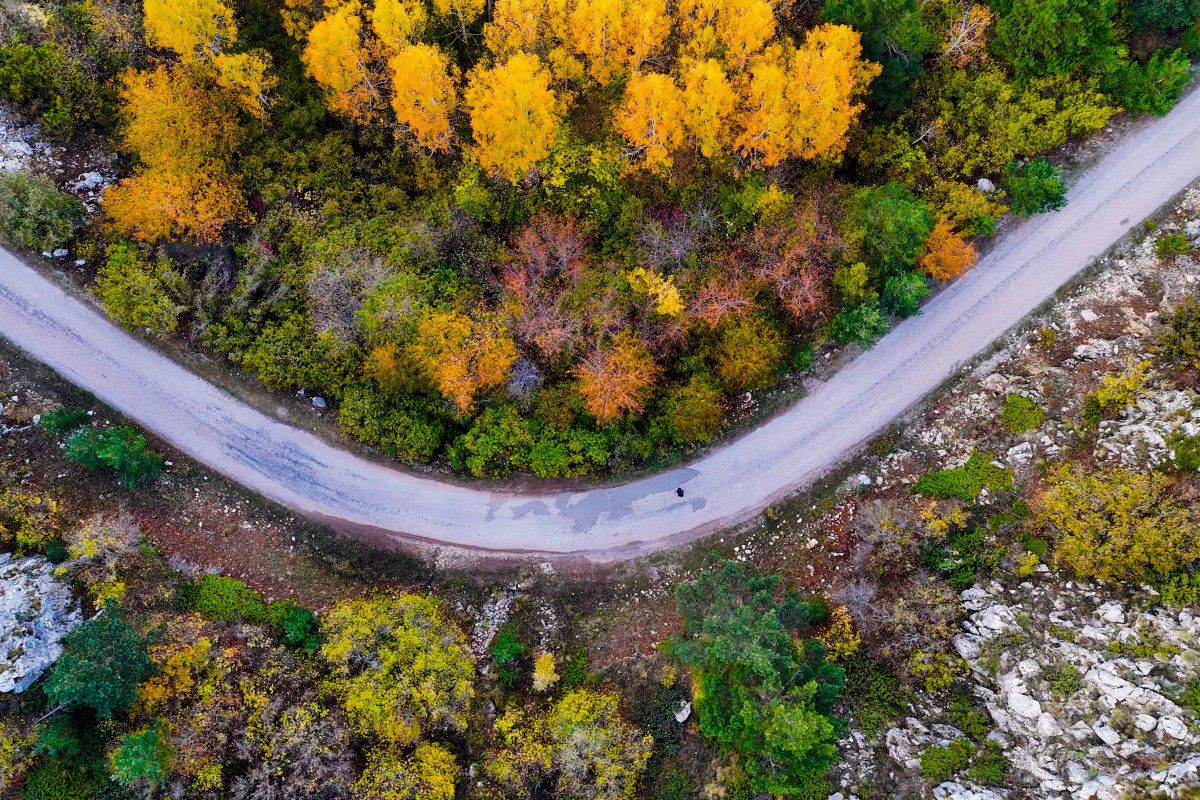 Gümüşhane'de Alpleri aratmayan renk cümbüşü