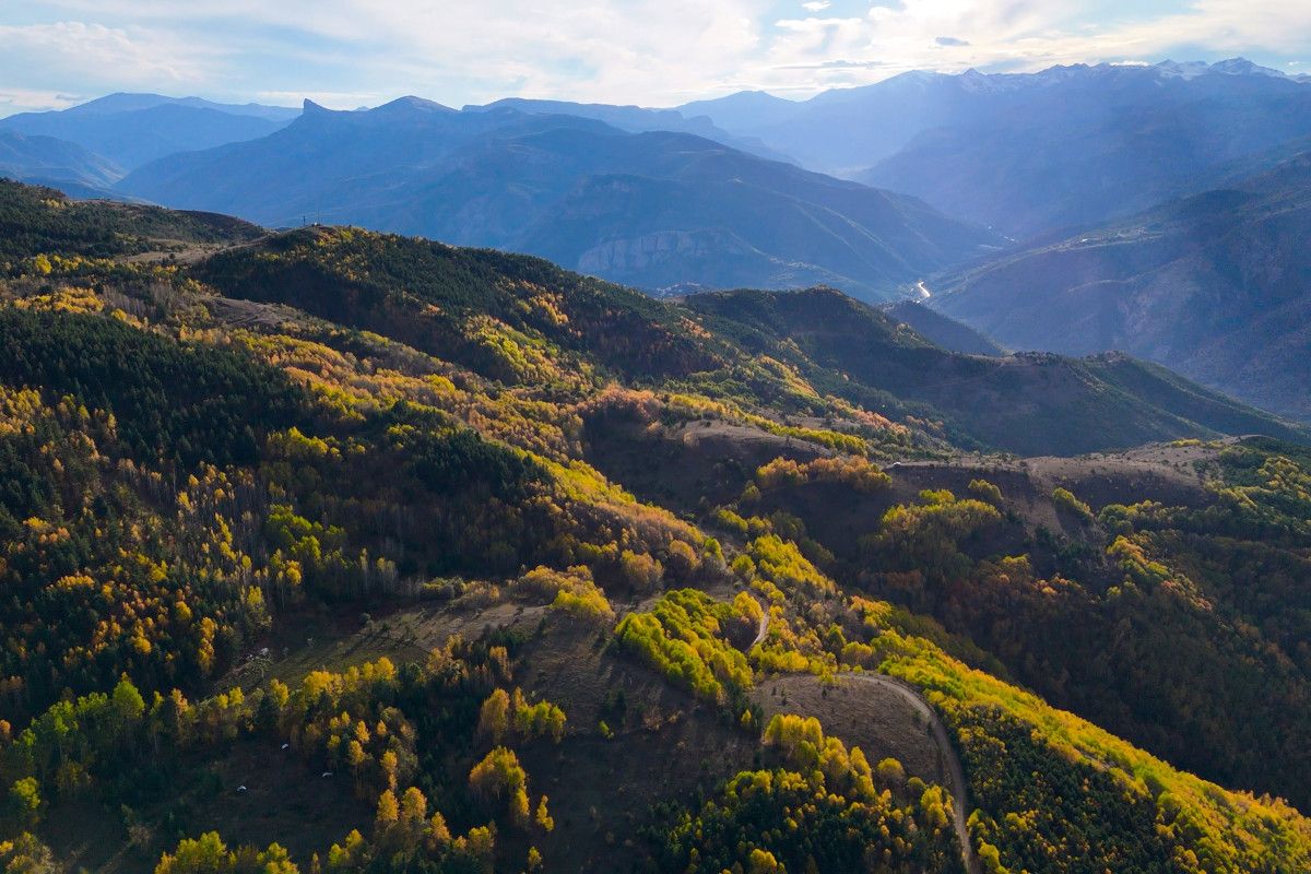 Gümüşhane'de Alpleri aratmayan renk cümbüşü