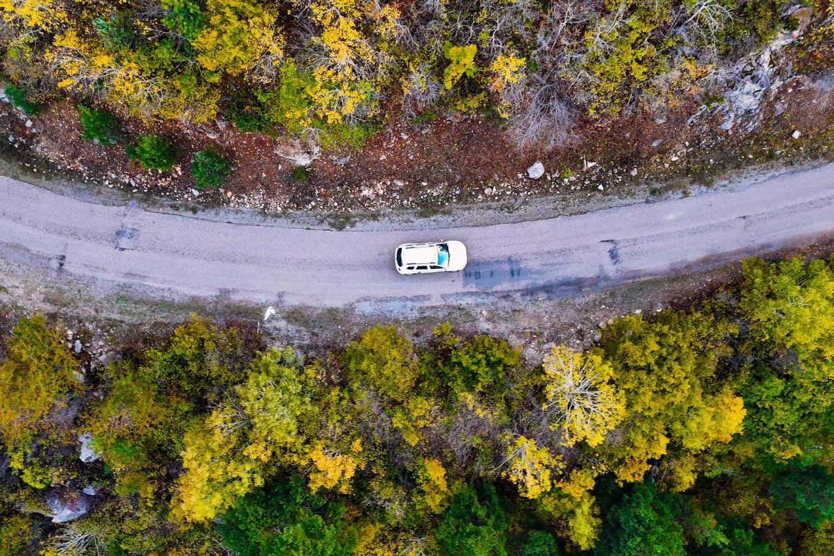 Gümüşhane'de Alpleri aratmayan renk cümbüşü