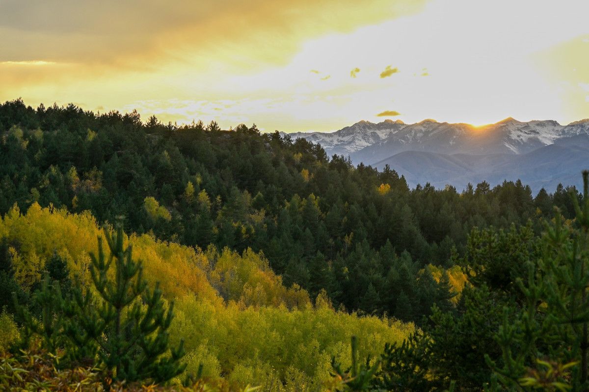 Gümüşhane'de Alpleri aratmayan renk cümbüşü