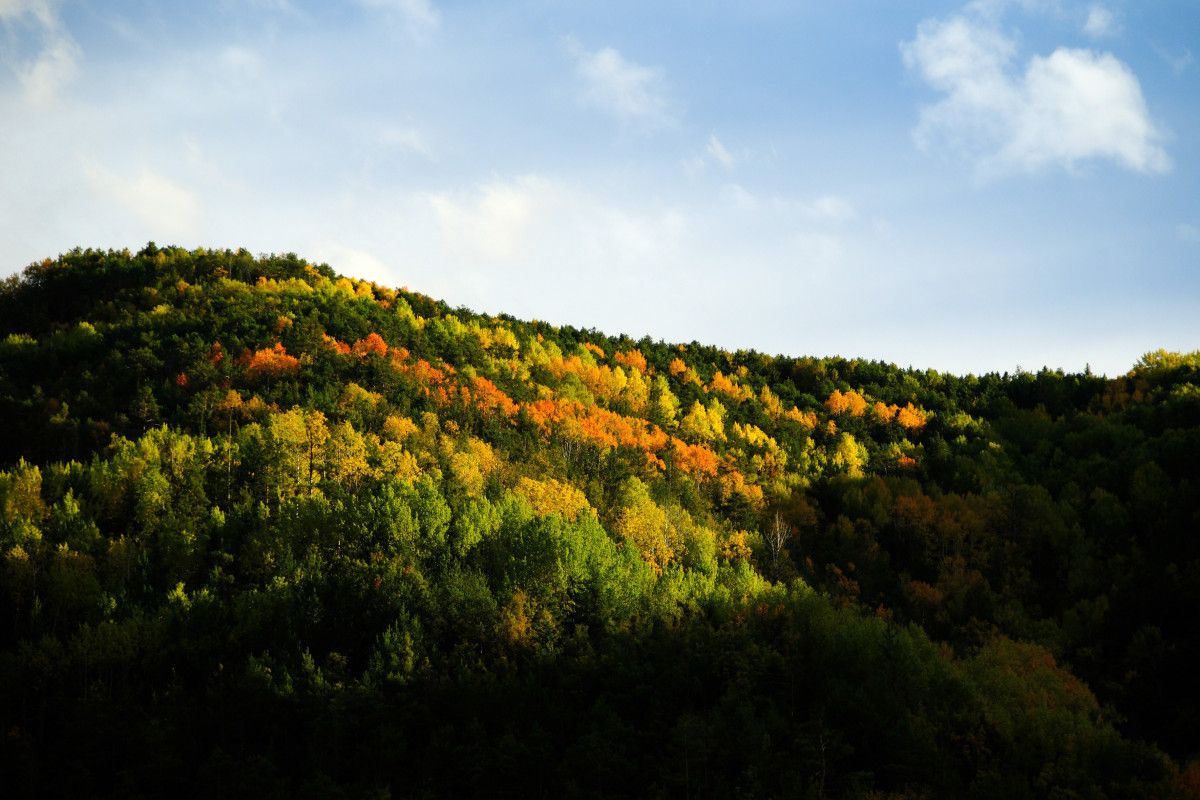 Gümüşhane'de Alpleri aratmayan renk cümbüşü