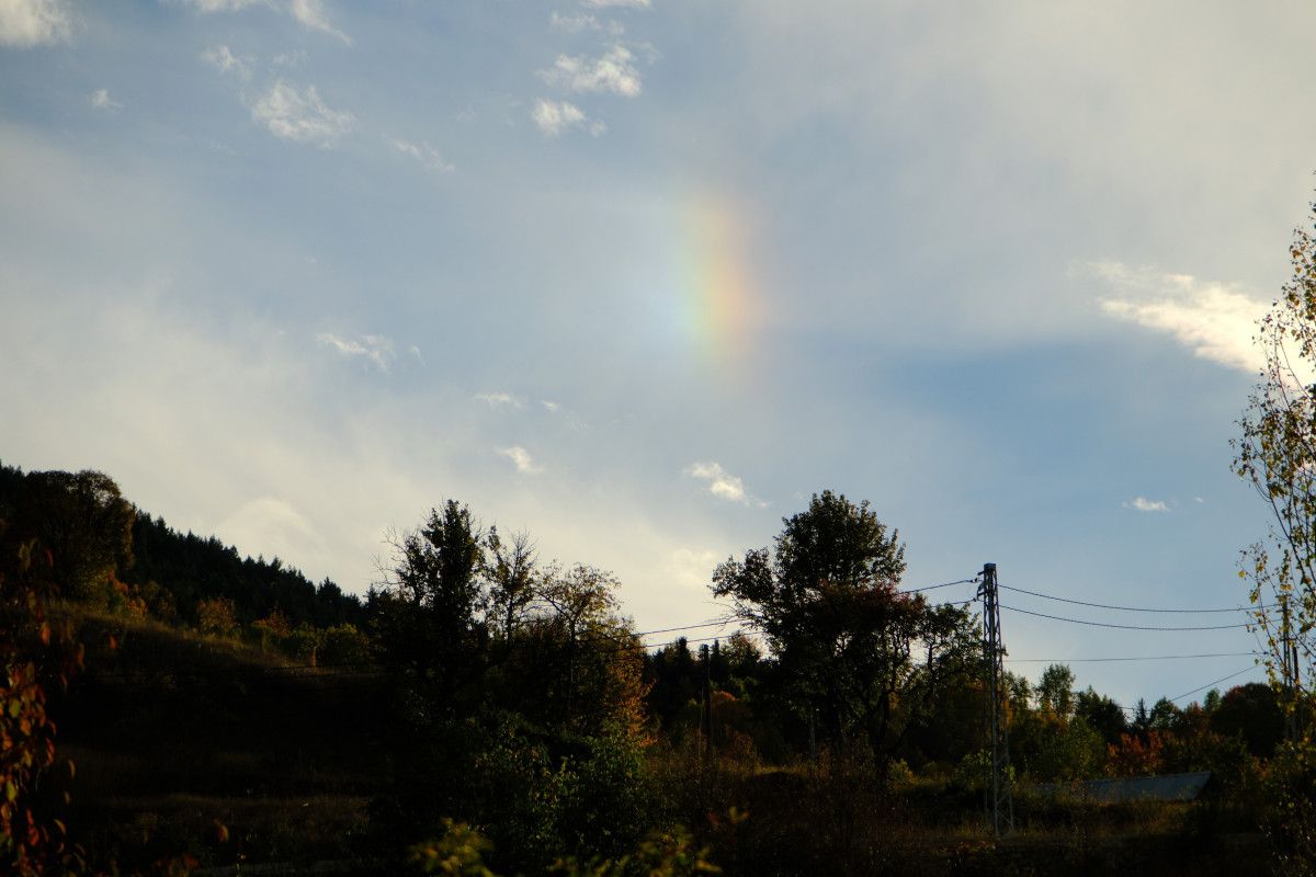 Gümüşhane'de Alpleri aratmayan renk cümbüşü