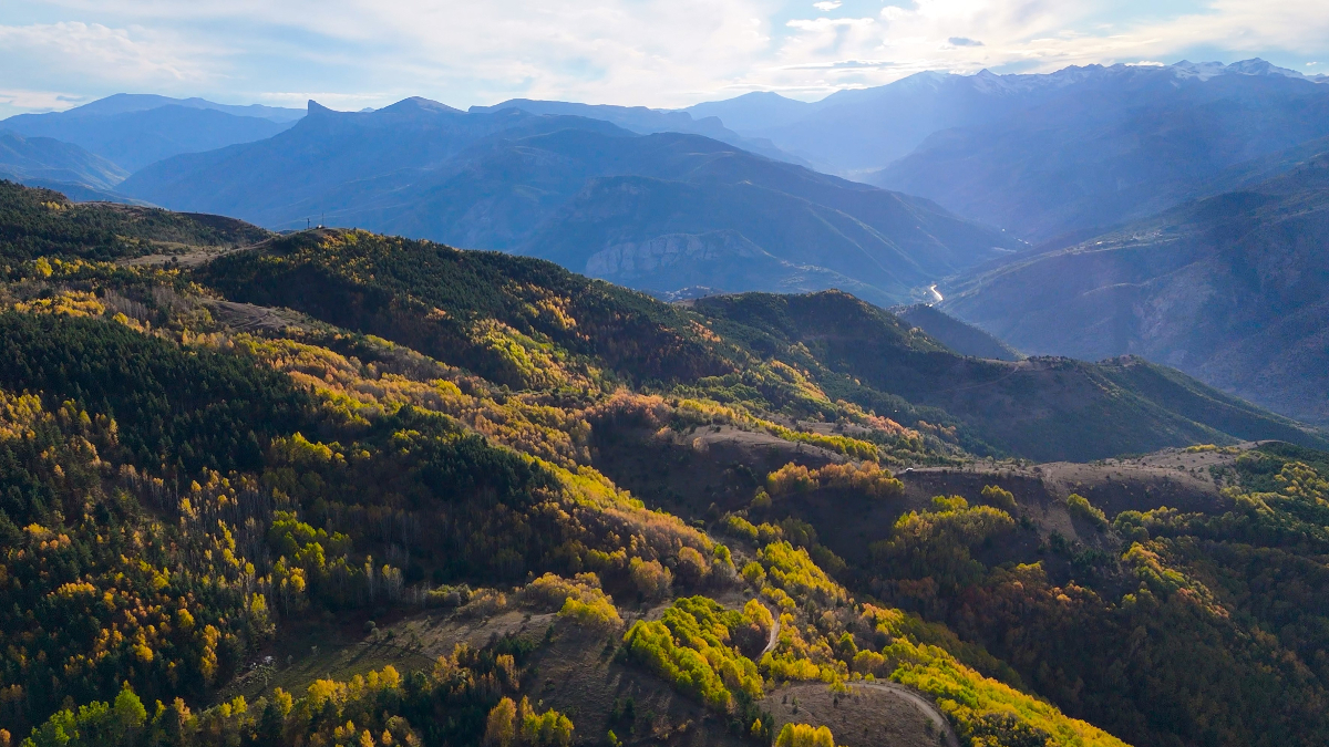 Gümüşhane’de Alpleri aratmayan renk cümbüşü