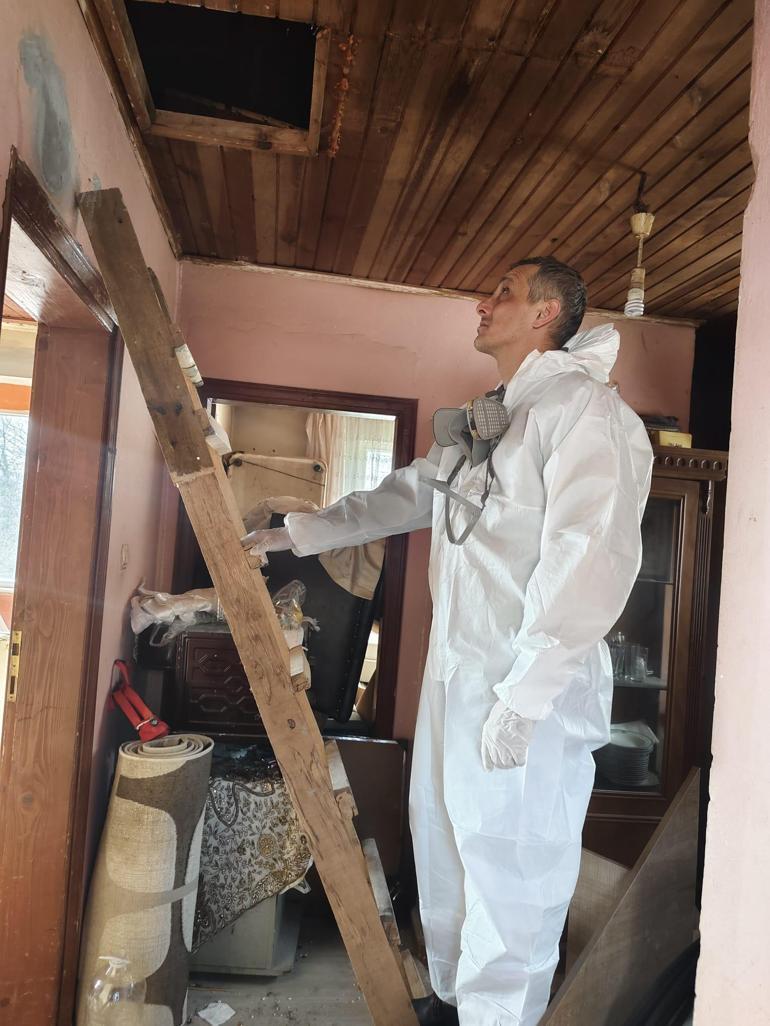 Gürcistan'dan Türkiye'ye Sızan Tehlike: İstanbullunun Kâbusu Hızla Yayılıyor!