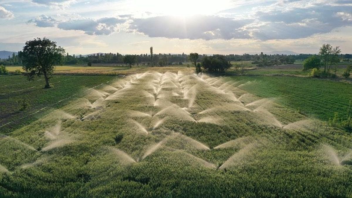 Hazine destekli tarımsal kredi limitlerine düzenleme 1 Hazine destekli tarımsal kredi limitlerine düzenleme