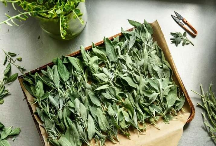 Hem işlevsel hem şık: Buzdolabınızın üstünü nasıl dekore edersiniz? 6 Hem işlevsel hem şık: Buzdolabınızın üstünü nasıl dekore edersiniz?