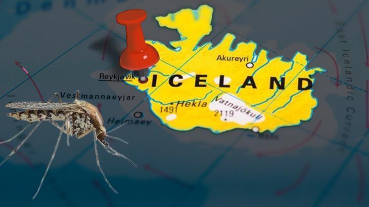 Hiç görülmez deniyordu! 3 sivrisinek ülkede panik yarattı: ‘Her yeri sarabilirler’