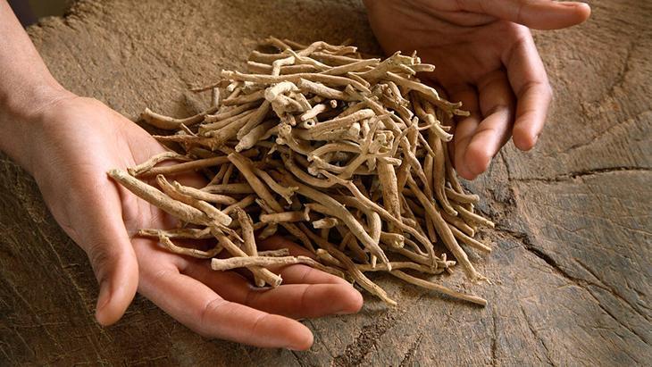 Hint Tıbbının Mucizesi: Stresi Doğal Yöntemlerle Kontrol Altına Alma Yöntemleri