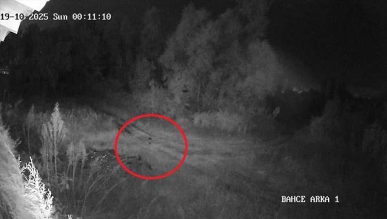 İki mahallenin kabusu! Yeni görüntüler ortaya çıktı: Çok korkuyoruz 2 İki mahallenin kabusu! Yeni görüntüler ortaya çıktı: Çok korkuyoruz