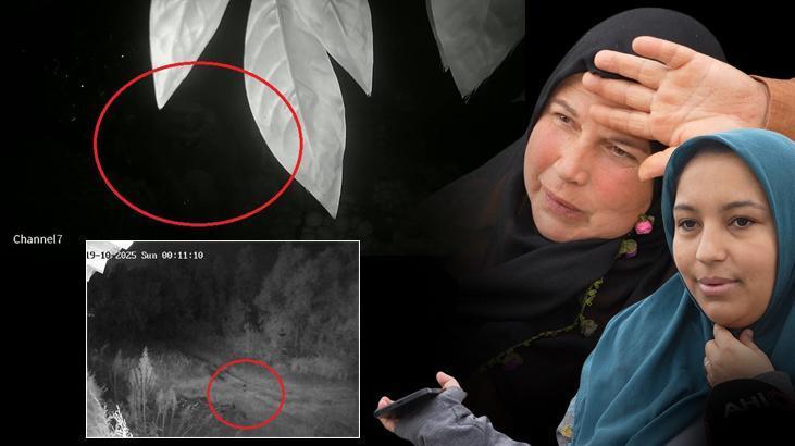 İki mahallenin kabusu! Yeni görüntüler ortaya çıktı: Çok korkuyoruz