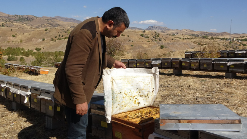 İklim değişikliği arıları etkiledi: Rekolte düştü 1 İklim değişikliği arıları etkiledi: Rekolte düştü