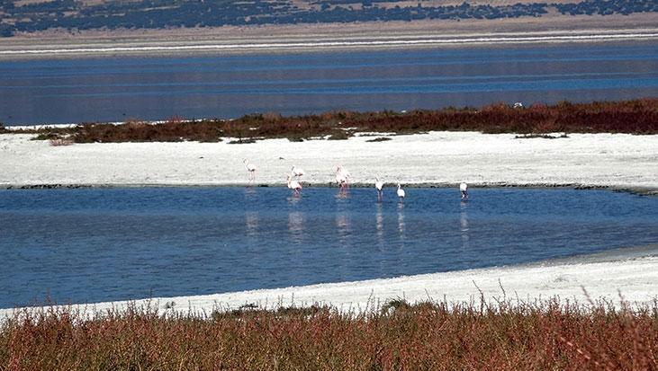 İklim krizi sessiz ilerliyor! Prof. Gülle: Bundan sonra hepsi küçülme trendinde